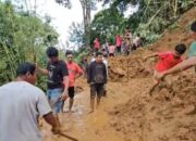 Dua Kecamatan di Tanah Datar Terendam Banjir