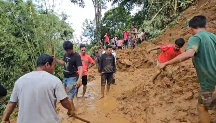 Dua Kecamatan di Tanah Datar Terendam Banjir